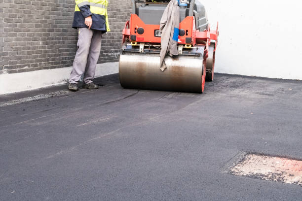 Best Driveway Maintenance Services  in Diberville, MS